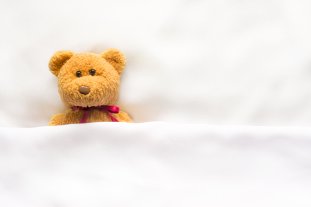 Teddy Bear lying in the white bedの写真素材