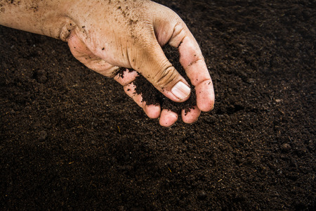 Hands dirty with clay , soil background