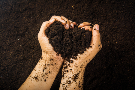 Hands dirty with clay , soil backgroundの写真素材