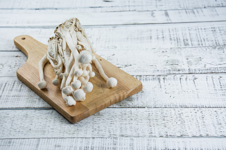 mushroom on the white wood