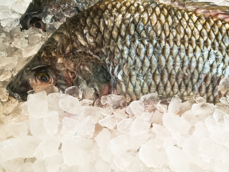 Fresh fish on ice decorated for sale at marketの写真素材