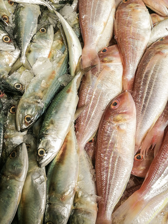 Fresh fish on ice decorated for sale at market