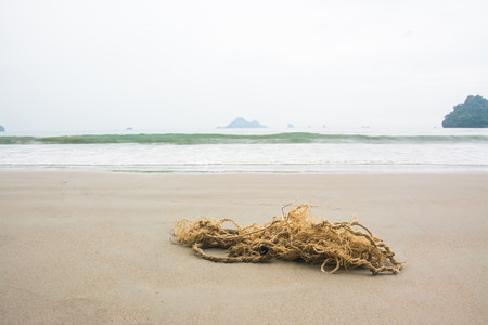 Old rope on the beachの写真素材