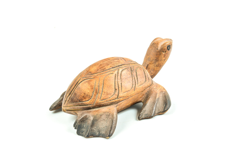 Wood carved turtle on white backgroundの写真素材