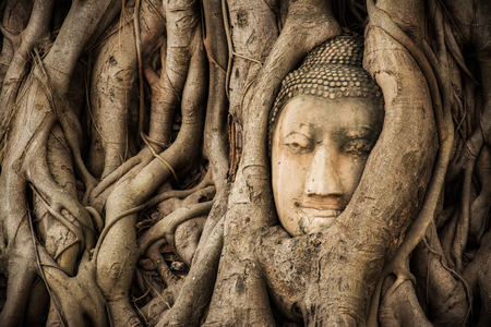 Buddha Head Tree Wat Maha That (Ayutthaya). buddha statue trapped in Bodhi Tree roots. Ayutthaya historical parkの写真素材