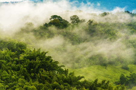 Mountains with trees and fog .の写真素材