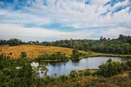 landscape of  Meadow with tree , Khao Yai National Park  Thailand .の写真素材