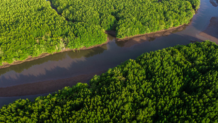 aerial view landscape of  Tree or forest ,  Krabi Thailandの写真素材