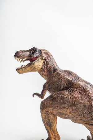 dinosaur , T-rex  , Tyrannosaurus on white backgroundの写真素材