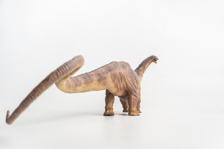 dinosaur , Apatosaurus  on white background .の写真素材