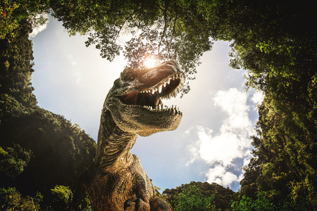 dinosaur , T-rex   with tree branches against on the nature .の写真素材