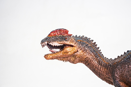 dinosaur , Dilophosaurus on white background .の写真素材