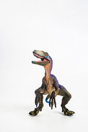dinosaur , Velociraptor on white background .の写真素材