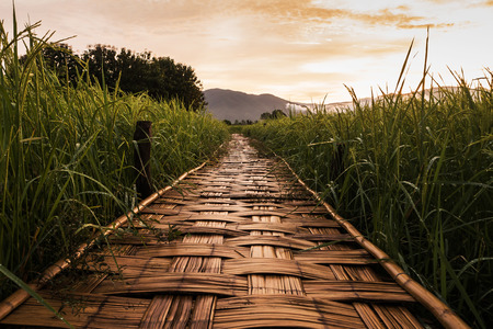 Wood bridge  beside green farm in Nan, northern of Thailand, blue sky, blue sky cloud.の写真素材