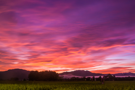landscape Paddy rice field with sky in Twilight time .の写真素材