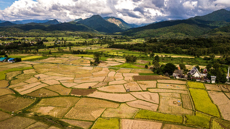 High angle view of Field in Thailand .の写真素材
