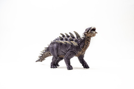 Polacanthus Dinosaur on white background .の写真素材