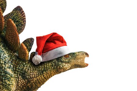 dinosaur , Stegosaurus  with Christmas hat  on white background .の写真素材