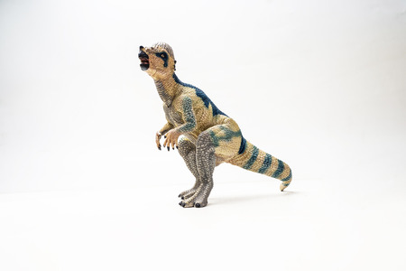 Pachycephalosaurus  Dinosaur on white background  .の写真素材