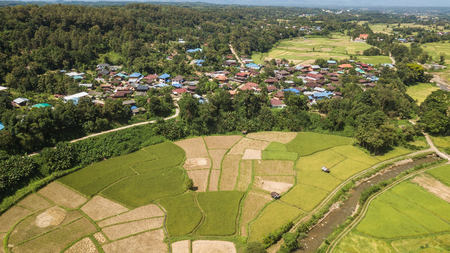 High angle view of Field in Thailand .の写真素材