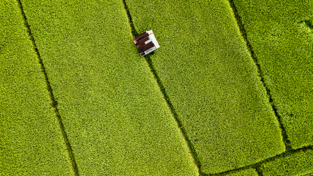 High angle view of Field in Thailand .の写真素材