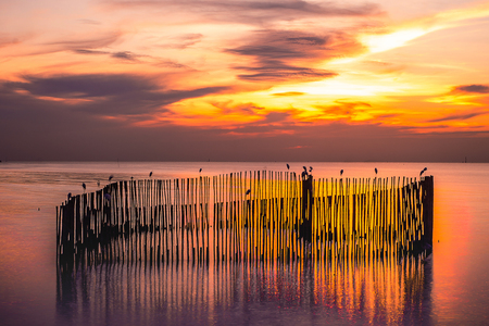 sunsetの写真素材