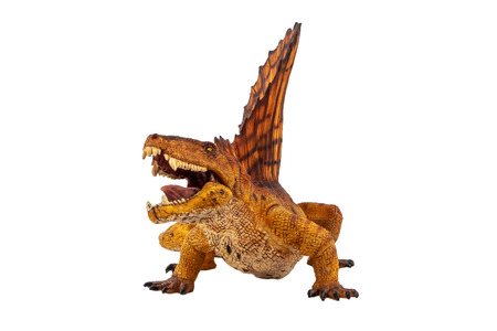 Dimetrodon  Dinosaur on white background .の写真素材