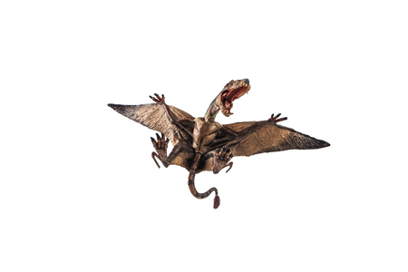 Dimorphodon Dinosaur on white background  .の写真素材