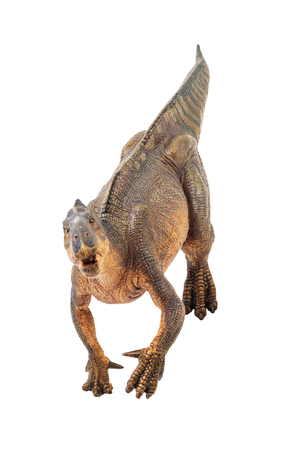 Iguanodon , Dinosaur on white background .の写真素材