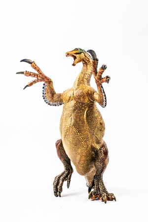 Amargasaurus ,dinosaur on white background .の写真素材