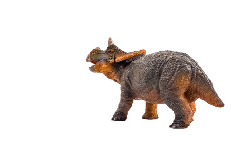 Baby Triceratops   ,dinosaur on white background .の写真素材