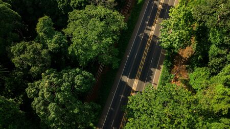 aerial view landscape of Tree or forest and road , Krabi Thailand .の写真素材