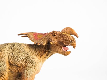 Einiosaurus Dinosaur on white background .の写真素材