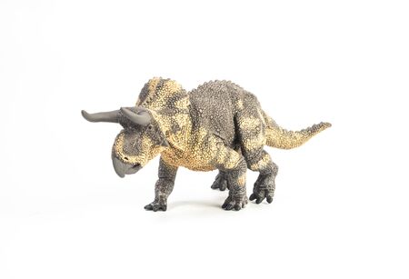 Nasutoceratops Dinosaur on white background .の写真素材
