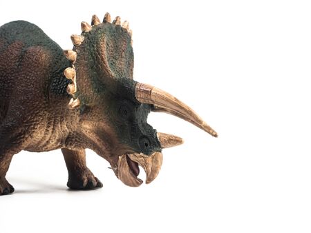 Triceratops  Dinosaur on white background .の写真素材