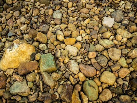 abstract background with dry round reeble stones   .
