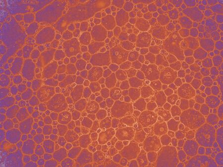 water and oil abstract background .