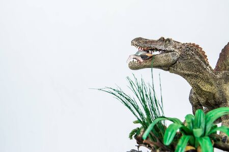 Spinosaurus with Its food ,dinosaur on white backgroundの写真素材