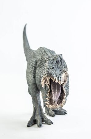 Tyrannosaurus T-rex ,dinosaur on white background  .の写真素材