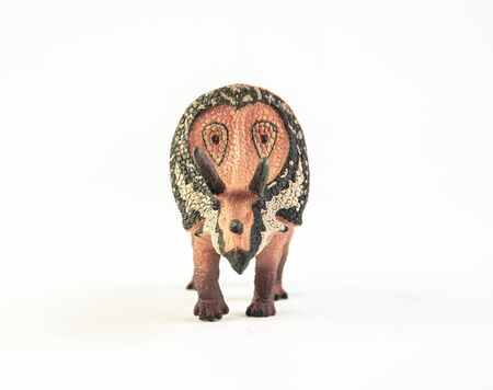 Torosaurus , dinosaur on white background .の写真素材