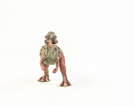 Pachycephalosaurus, dinosaur on white background.の写真素材