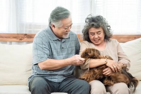 Happy Senior Couple Sitting On Sofa With Dogの写真素材