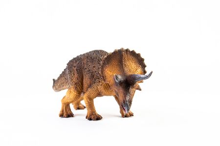 Triceratops dinosaur on white backgroundの写真素材
