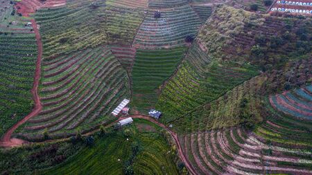 High angle view Aerial photograph of Agricultural area .