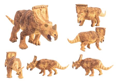 Vagaceratops  Triceratops  Dinosaur on white background .の写真素材