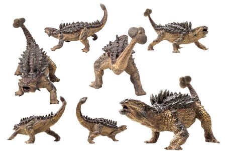 Ankylosaurus Dinosaur on white background .の写真素材