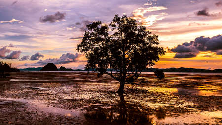 Low tide at the beach  during sunset , Thailand