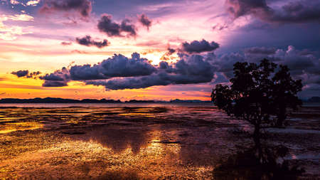 Low tide at the beach  during sunset , Thailand