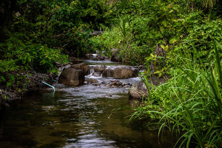 Forest river wild landscape. Wild river stream rocks flowing , Thailand