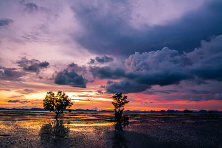 Natural Scenic landscape of beautiful twilight sky  , Krabi Thailand